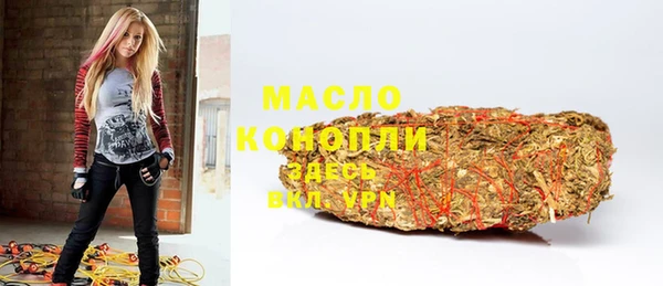 дмт Каменка