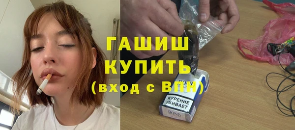 шишки Каменногорск