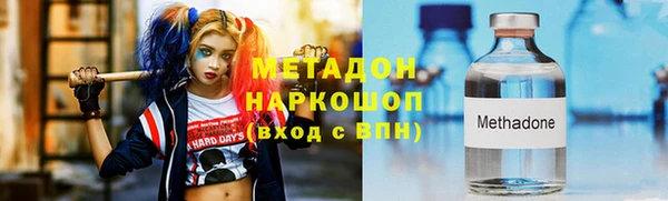 шишки Каменногорск
