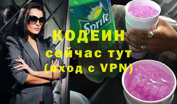 шишки Каменногорск