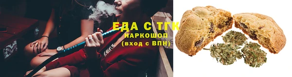 гидра Карпинск