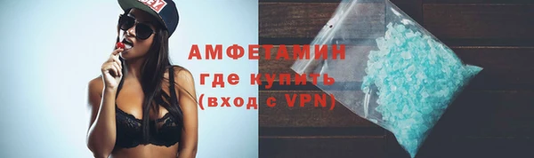 дмт Каменка