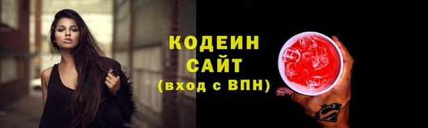 дмт Каменка