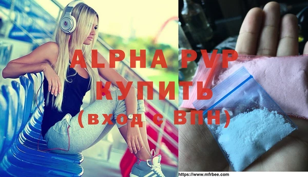 шишки Каменногорск