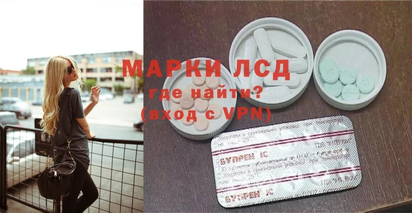 шишки Каменногорск