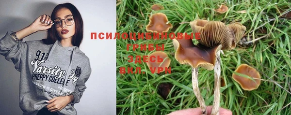 мдпв Карталы