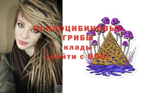 мдпв Карталы