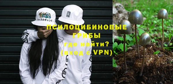 мдпв Карталы