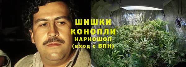 шишки Каменногорск