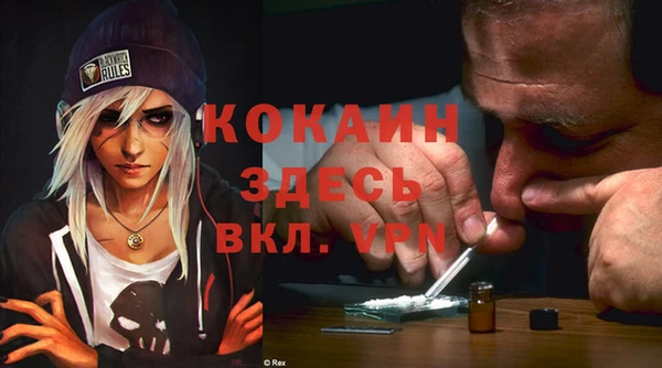 дмт Каменка