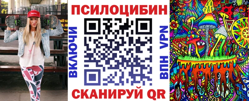 mega tor  Кинешма  Псилоцибиновые грибы Cubensis  как найти закладки 